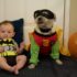 10 Cutest Baby and Toddler Halloween Costumes